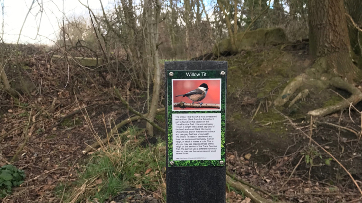 A wildlife trail post in a wooded area alongside the Trans Pennine Trail between Worsbrough and Silkstone Common. The post has a picture of a Willow Tit and information about the bird.