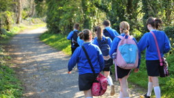 Pupils walking to school