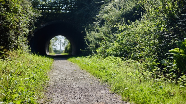 Lias Line Greenway on a sunny day with a short railway tunnel in the near distance. The gravel path has grass to either side and verges which are green and leafy.