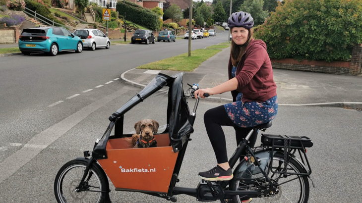 A brown, curly haired, medium sized dog looks out of the front of a cargo bike. The bike is being ridden by a woman wearing a cycle helmet. The pair are stopped at a 'T' junction in a residential area, both are looking at the camera.  In the background are detached houses, mature gardens,  green verges and parked cars.