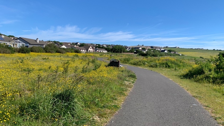 New all abilities path created with Places for Everyone funding in Arcadia Park. 