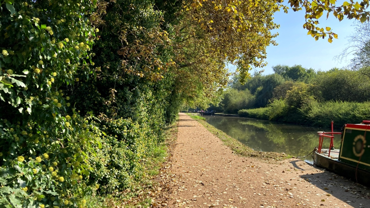 Newly resurfaced and improved towpath runs next to canal, and trees line both sides. Canal boat is moored next to the bank.