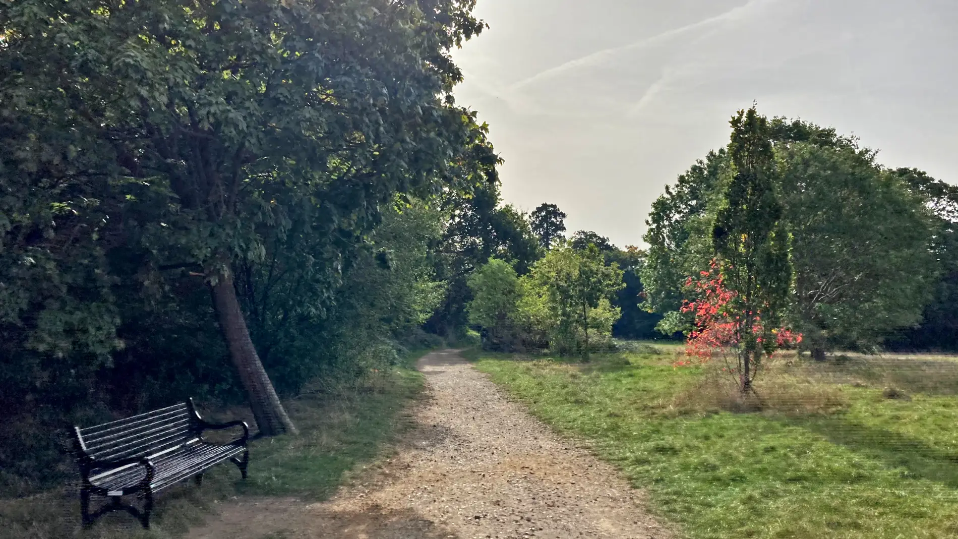 Wimbledon to Sutton Common - Walk Wheel Cycle Trust