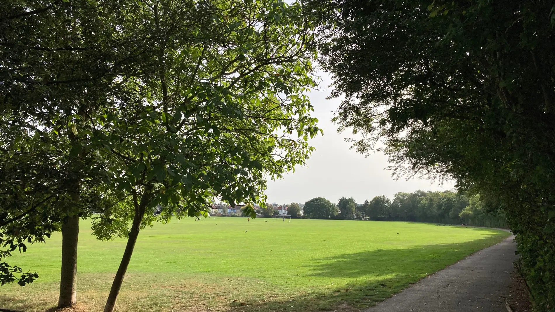 Wimbledon to Sutton Common - Walk Wheel Cycle Trust