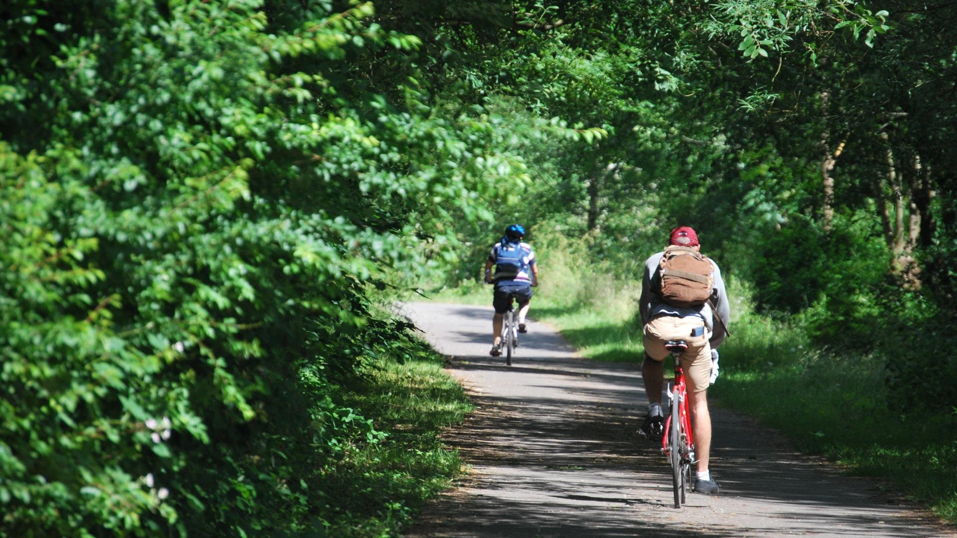 Flitch Way - Walk Wheel Cycle Trust