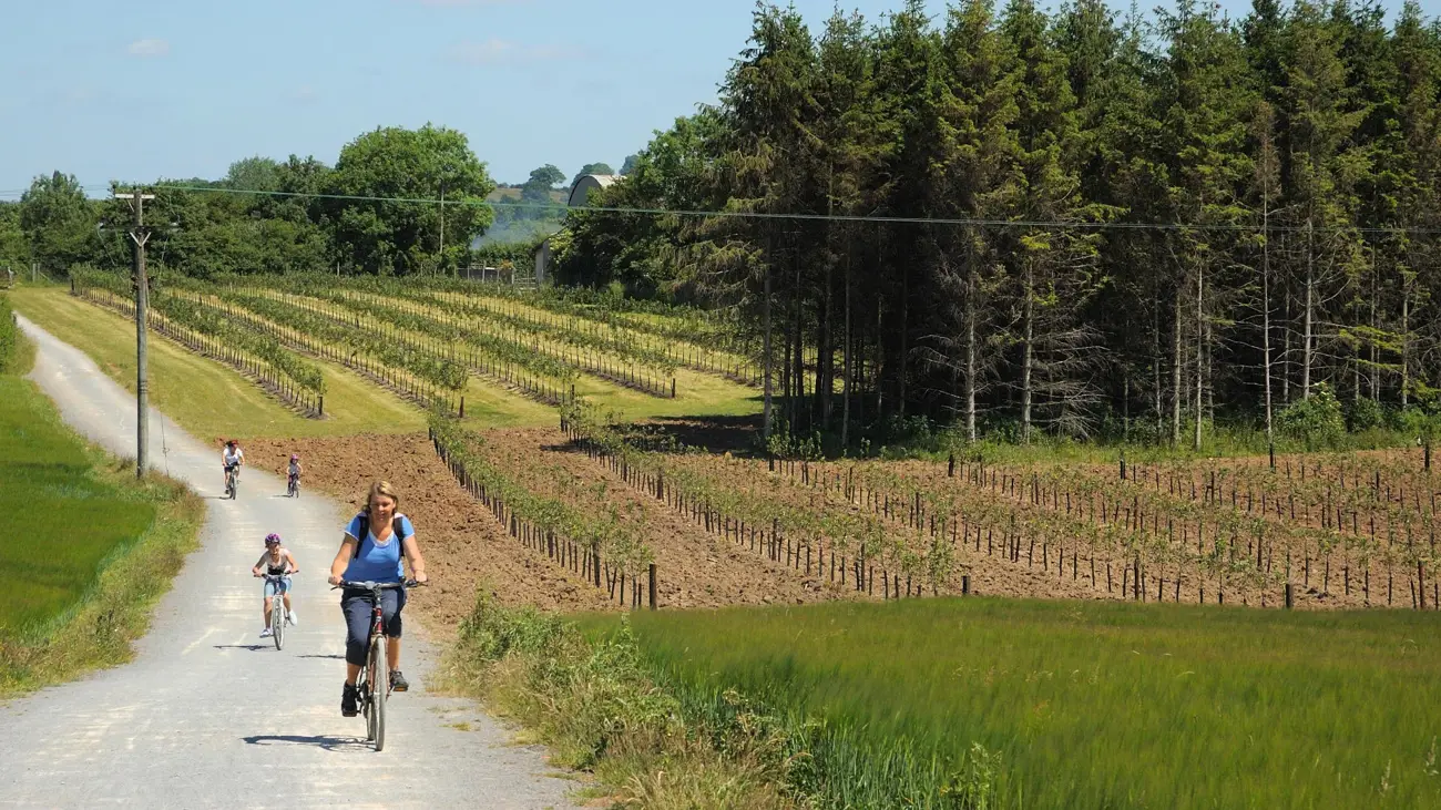 Strawberry Line - Walk Wheel Cycle Trust