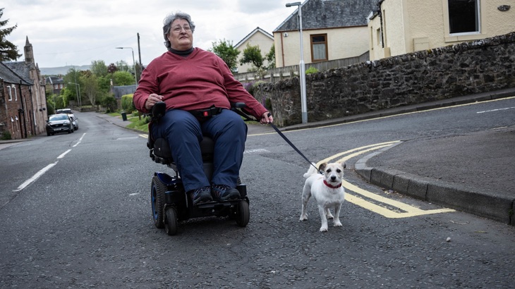 A person in a wheelchair is shown walking their dog