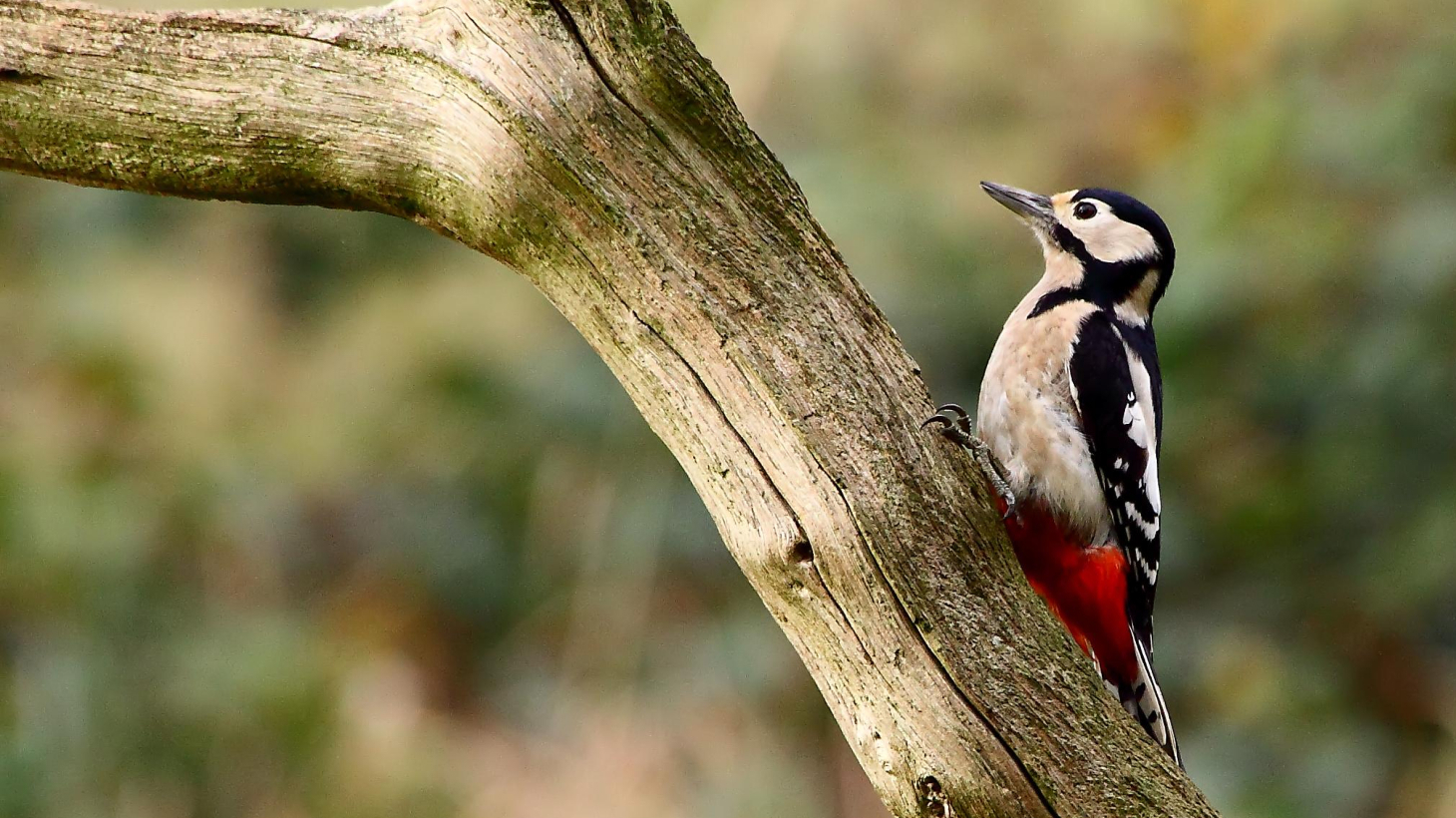 Our favourite low-traffic walking and cycling routes for summer - Walk ...
