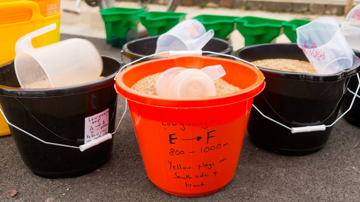 A close up image of three large buckets filled to the brim with wildflower seedlings. The middle bucket is red and the two on either side are black.