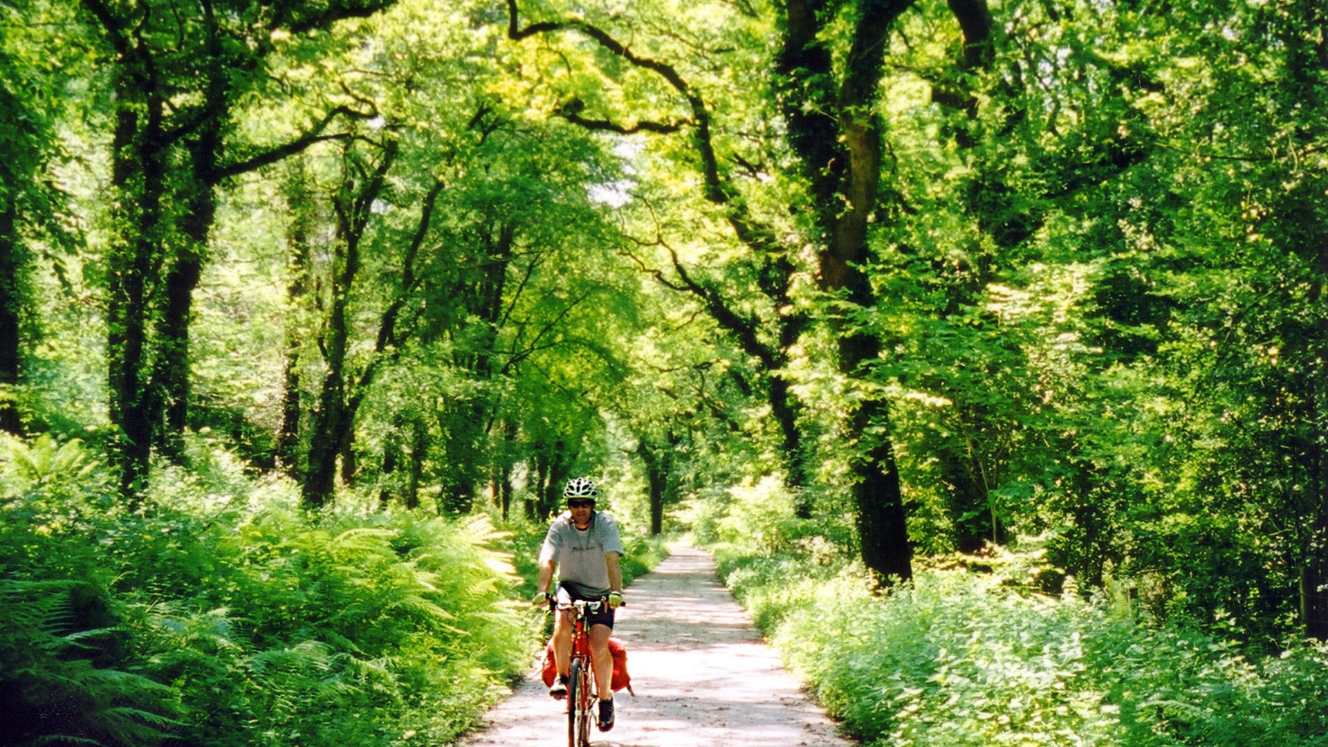 National Cycle Network Routes In Cairngorms National Park And Perth National Cycle Network Routes In Cairngorms National Park And Perth