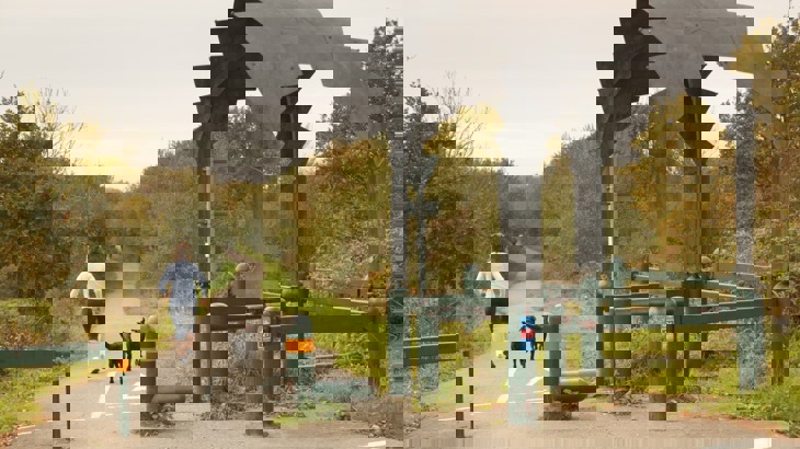 Runner with two dogs on tarmac path through woods with gazebo sculpture to the right side