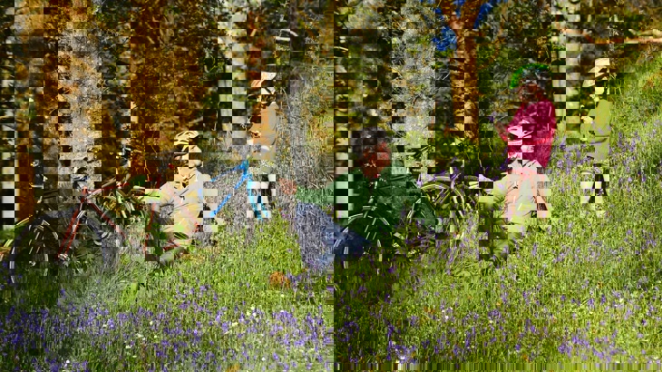 Dad and daughter sitting in blue belles field