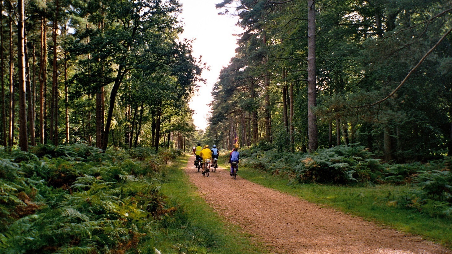 10 great rides to National Parks - Walk Wheel Cycle Trust