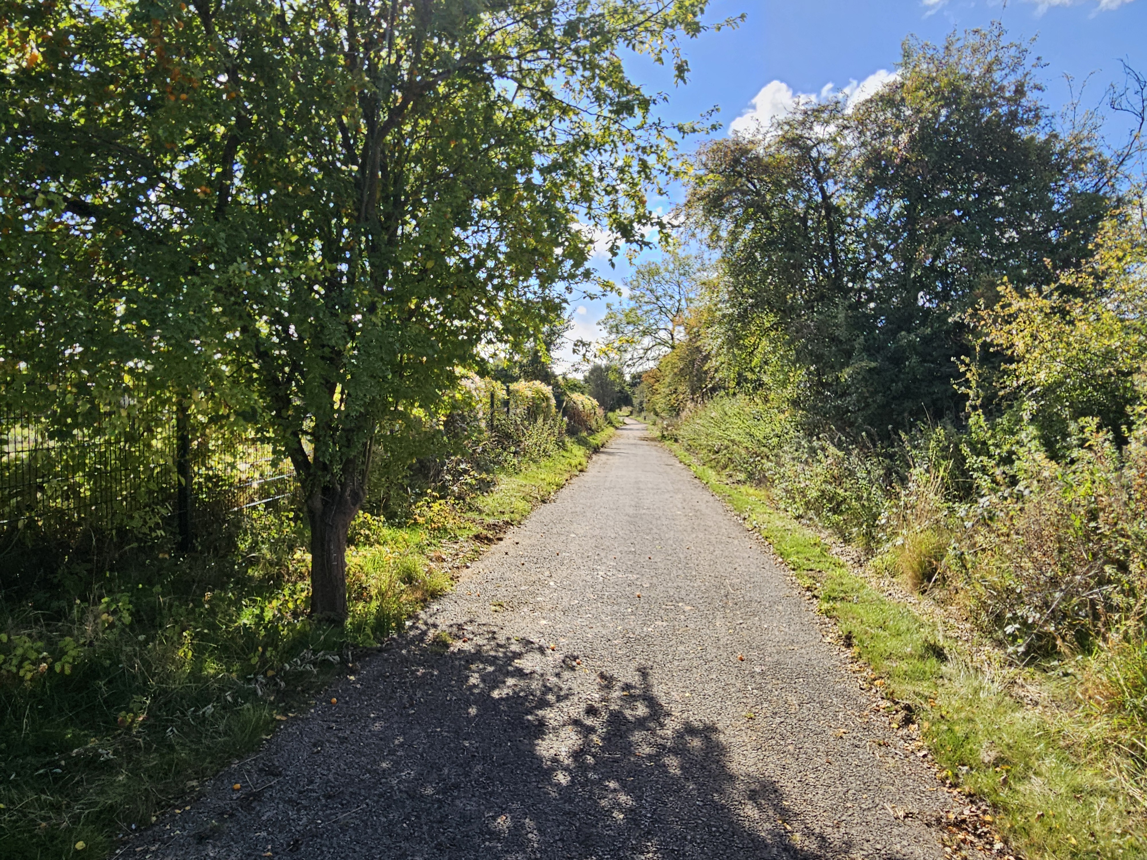 Work set to begin on new walking, wheeling and cycling route in ...