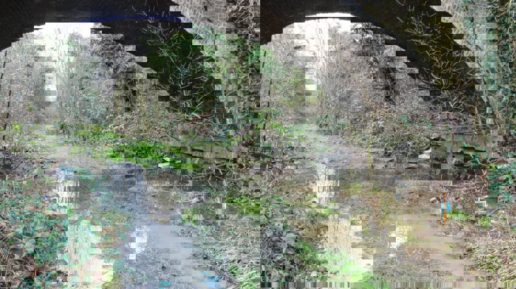 A picture of a bridge on the path before construction started. There is water and mud beneath it. 