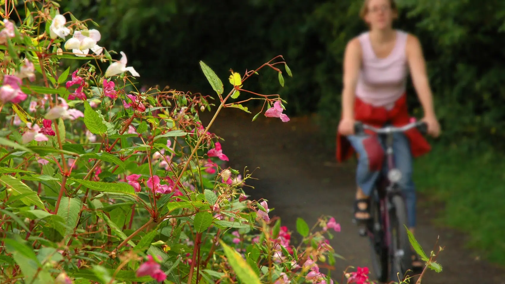 Waterlink Way: Greenwich to Kent House and New Addington - Walk Wheel ...