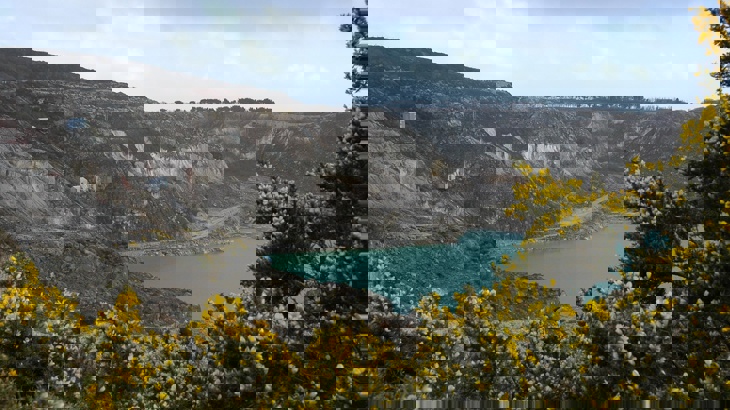 Looking through gorse down onto a a man made lake from clay workings.
