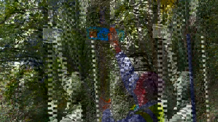 A volunteer cleaning a National Cycle Network sign