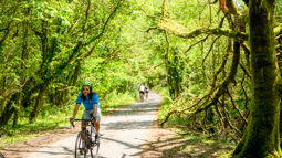 A man wearing a blue cycling top while cycling through a dappled woodland on a traffic-free path on a sunny day