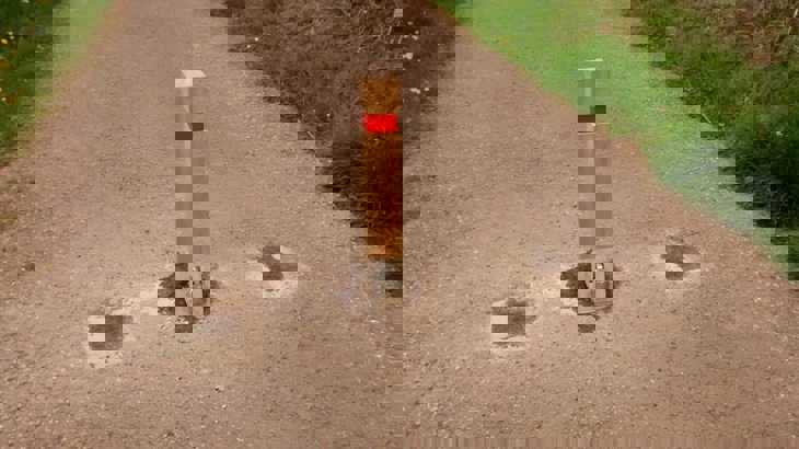 Removable timber bollard with a reflective band, set in the centre of a traffic-free path with grass to either side.