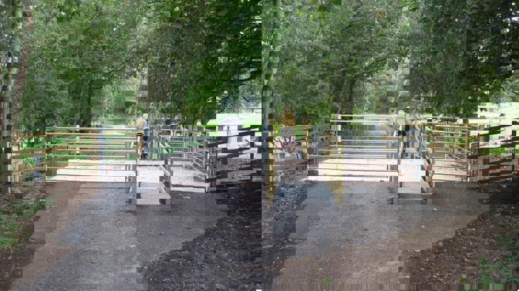 A gated agricultural crossing with cattle grids. In the foreground is tarmac and beyond a series of gates and cattle grids. A person on a bike can be seen from behind, leaving the access point, about to join the main path. It stretches into the distance, is tree-lined and there is a large pylon alongside the path.