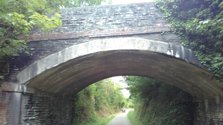 bridge arch overgrown vegetation