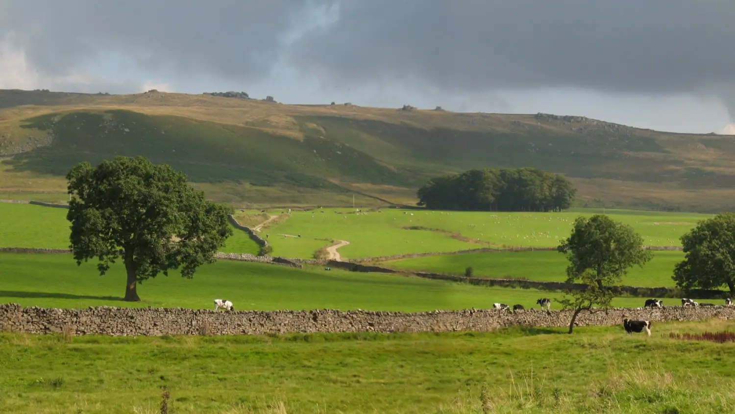 Way of the Roses - Walk Wheel Cycle Trust