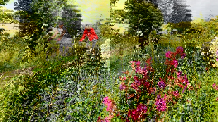 Cyclists on Cumbria C2C