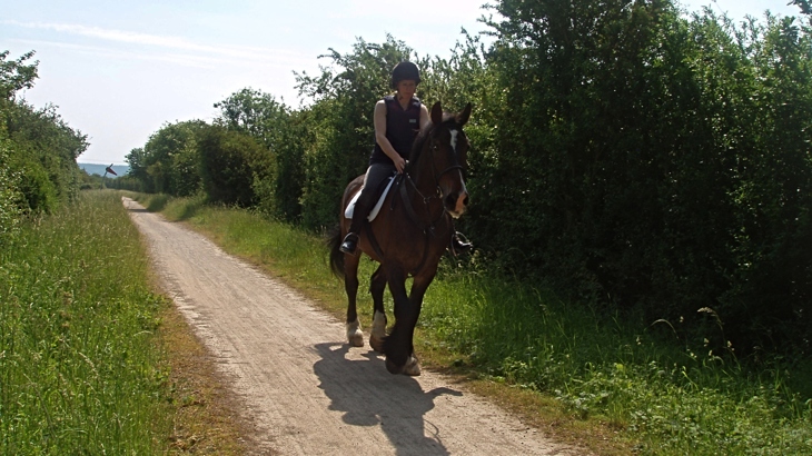 Horse rider on the Phoenix Trail, Buckinghamshire