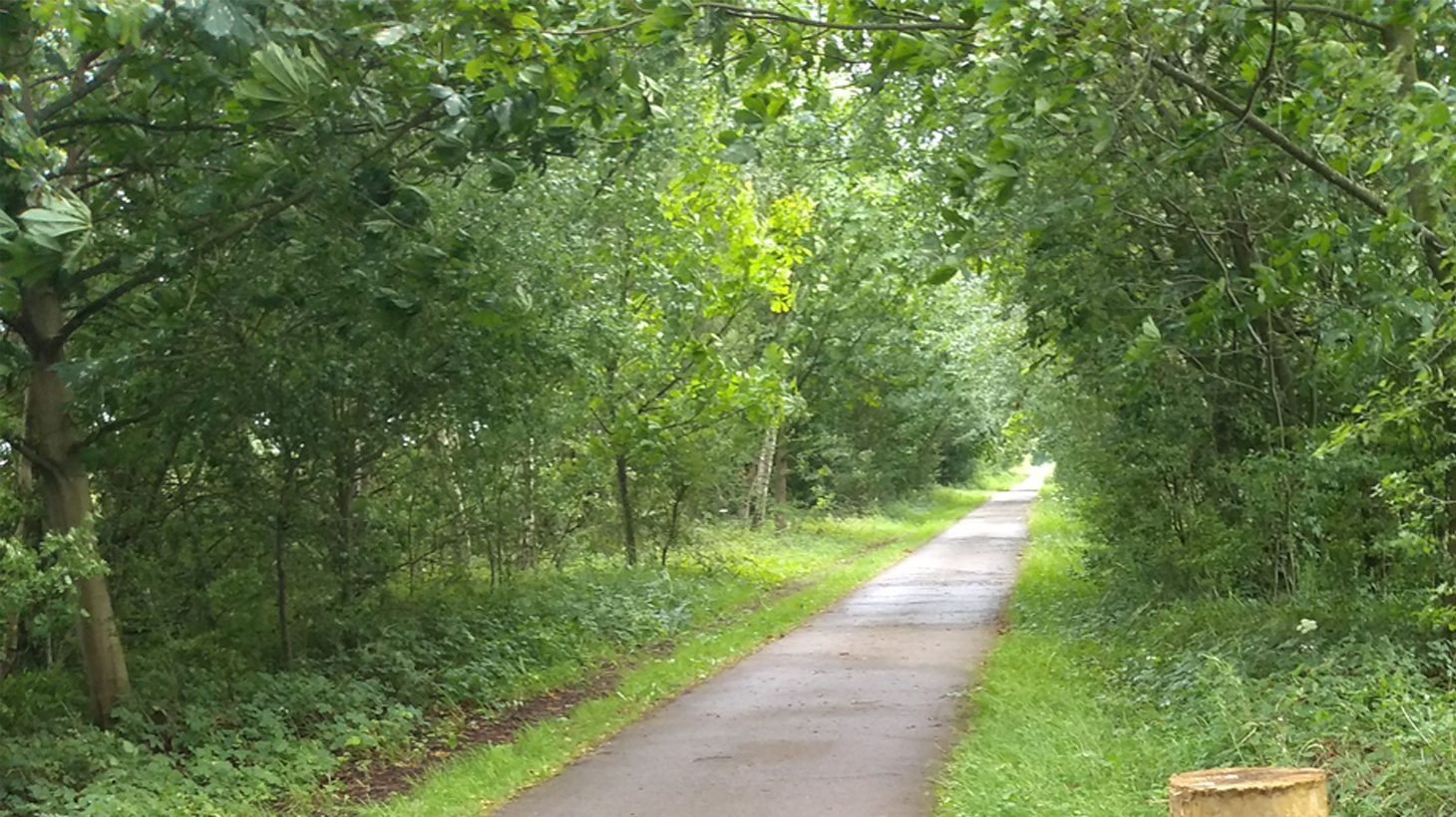 Way Solar System Work starts to improve access on Solar System Way - Walk Wheel Cycle Trust