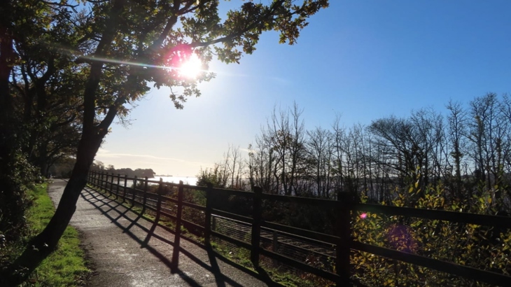 Exe Estuary Trail in winter sun