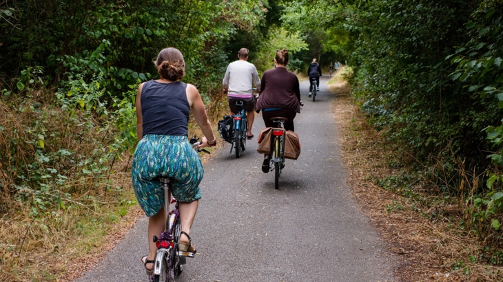 Three people cycle along a tree-lined traffic free path on the National Cycle Network.