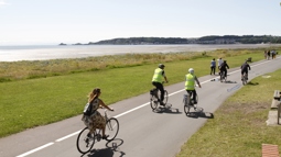 A group of cyclists travelling on Swansea promenade on a sunny day, with the beach in the background.