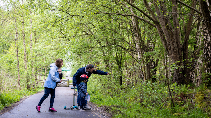 A family walking on the greenway pointing and looking into the forest, surrounded by green trees and shrubs.
