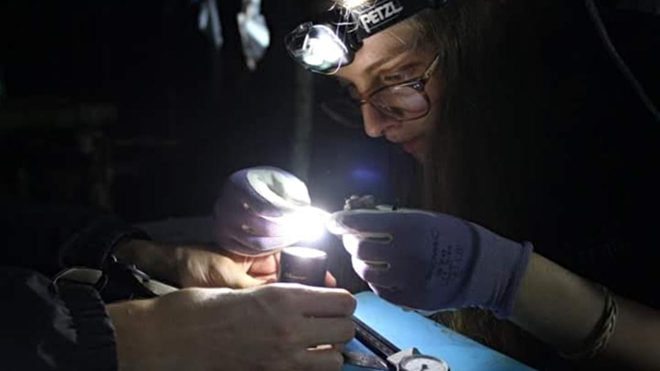 A female ecologist with glasses and a head torch examining something small in her hands in the dark