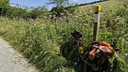A bamboo bike with panniers leaning against a wooden sign post next to a cycle path with a wildflower meadow in the background.