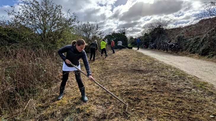 A person raking the ground to prepare it for wildflower planting next to the National Cycle Network.